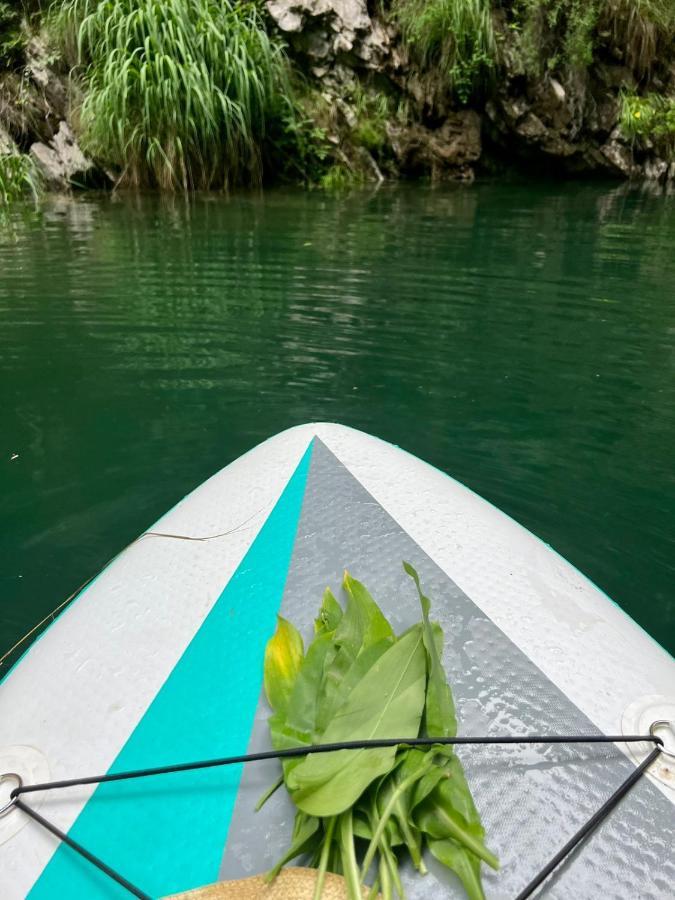 Отель Neomalsore Agrotourism, Komani Lake Экстерьер фото